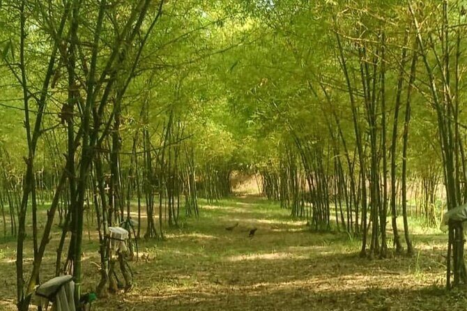 Albay Philippines: Shared Tour with Mayon Skyline - FAQ