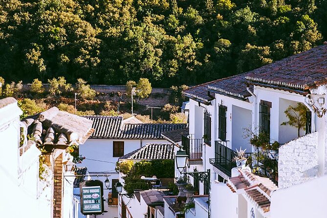 Albayzin and Sacromonte Guided Walking Tour in Granada - Tour Miscommunication