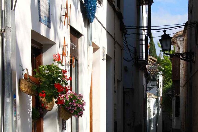 Albayzin and Sacromonte Guided Walking Tour in Granada - Positive Review - Historical Tour