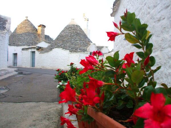 Alberobello: 2-Hour Guided Walking Tour of the Trulli - Customer Reviews
