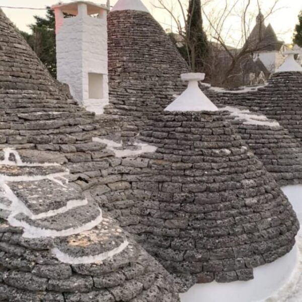 Alberobello and Castel Del Monte Private Day Tour From Rome - Transportation Details
