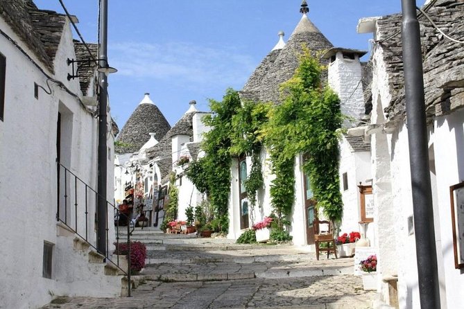 Alberobello and Polignano Private Walking Tour - Pricing and Booking Information