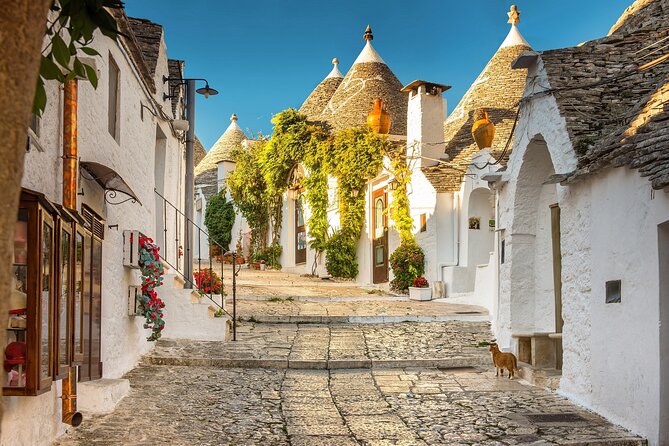 Alberobello, Polignano and Monopoli Tour Lasting 8 Hours - Price and Inclusions