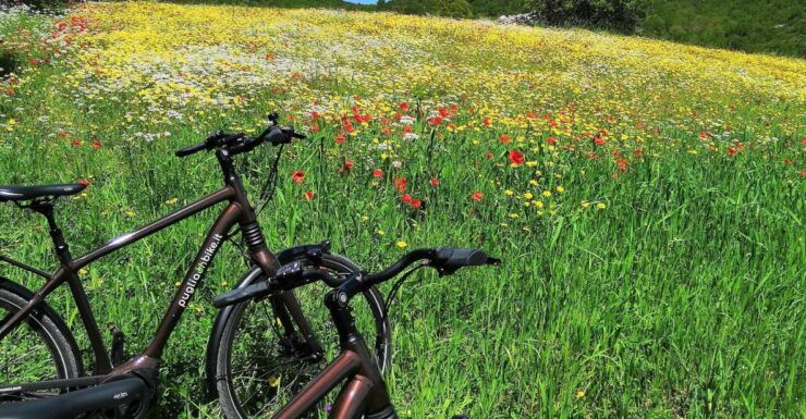 Alberobello Tour With E-Bike and Focaccia Tasting - Tour Highlights