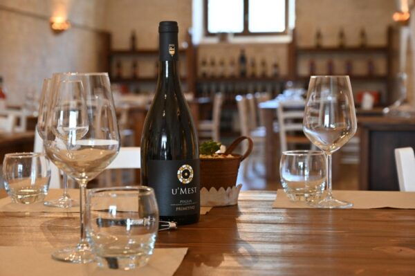 Alberobello: Winery Tour With Wine and Food Tasting - The Sum Up