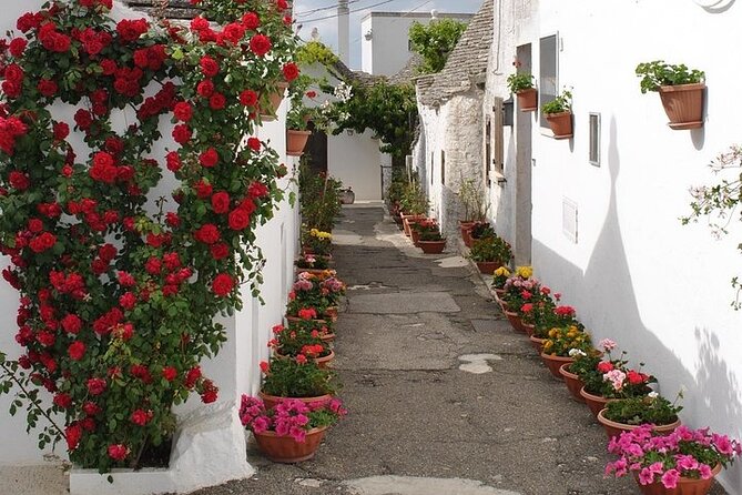 Alberobello With a Local Tour Guide! - Itinerary Details