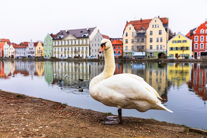 Albert Einstein Private Walking Tour in Old Town Munich - Booking and Pricing