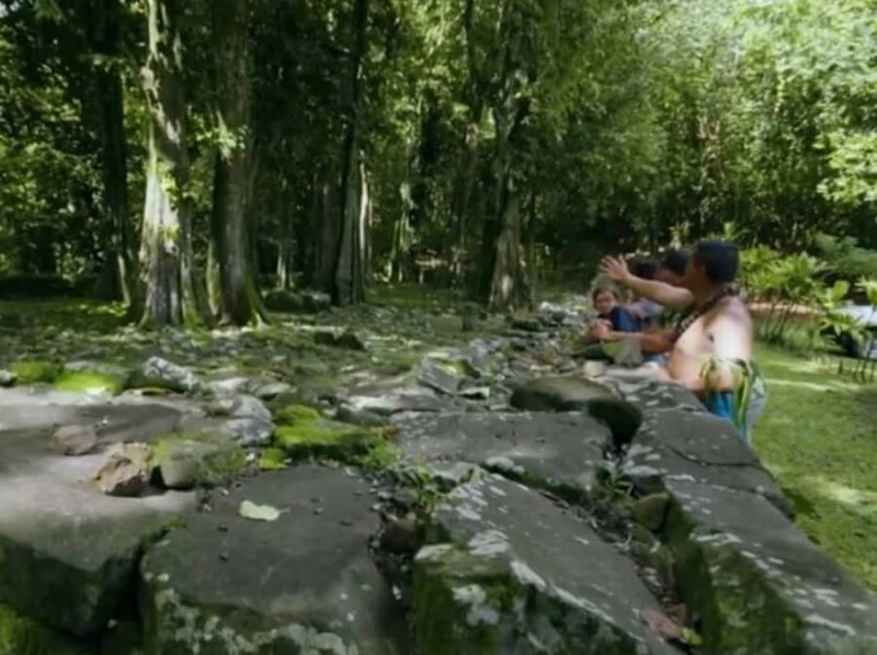 Albert Tours Excursion Safari - Moorea Safari tours&pick up - Exploring Moorea with the Albert Tours Excursion Safari