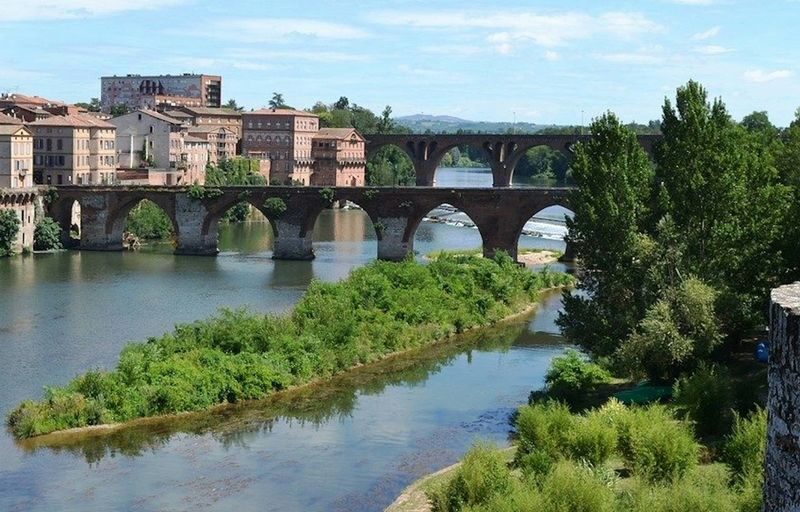 Albi and Cordes-sur-Ciel Bus Tour from Toulouse - Who will enjoy this day trip most