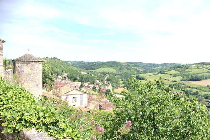 Albi and Cordes Sur Ciel Private Day Tour From Toulouse - Common Questions