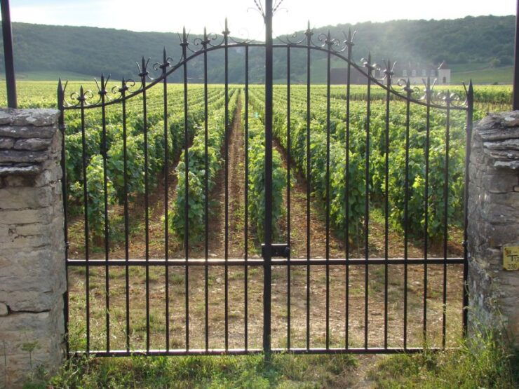 Albi, Cordés-Sur-Ciel & Gaillac: Day Trip From Toulouse - Highlights