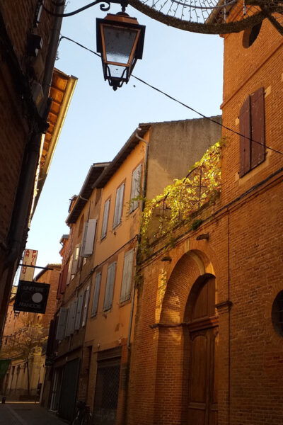Albi: Guided City Food Tour With Food Tastings and Drinks - Tips for an Enjoyable Experience