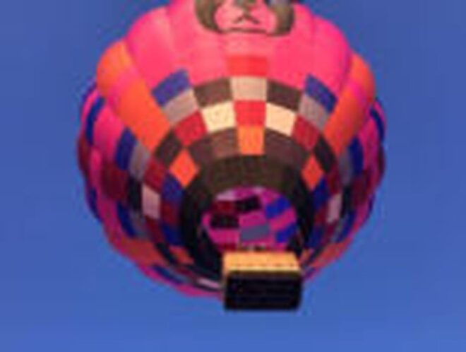 Albi: Hot Air Balloon - Solo Flight - Reservation Process