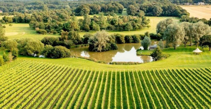 Albourne Estate: Wine Tasting and South Downs Ebiking - Albourne Estate Location