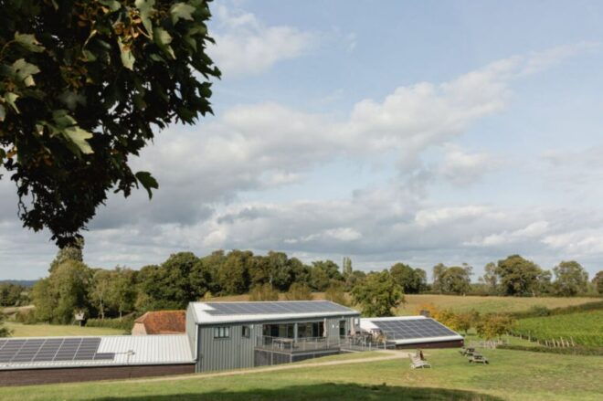 Albourne Estate: Wine Tasting and South Downs Ebiking - Wine Tasting Experience