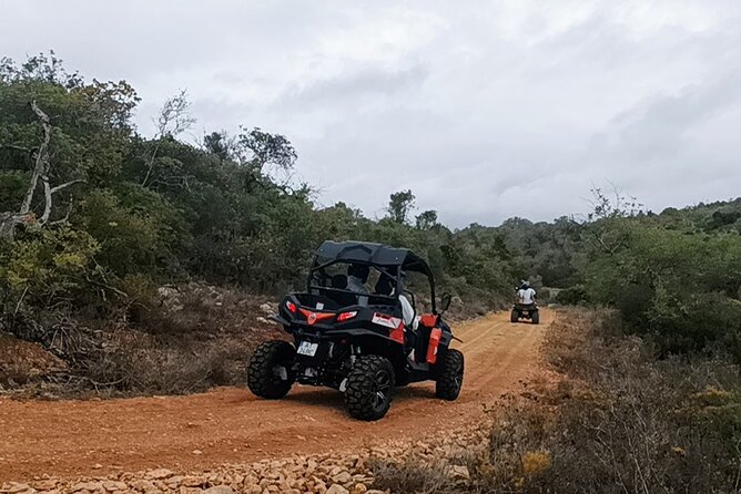 Albufeira 1 Hour Off-Road Tour Buggy Adventure Tour - Tour Details