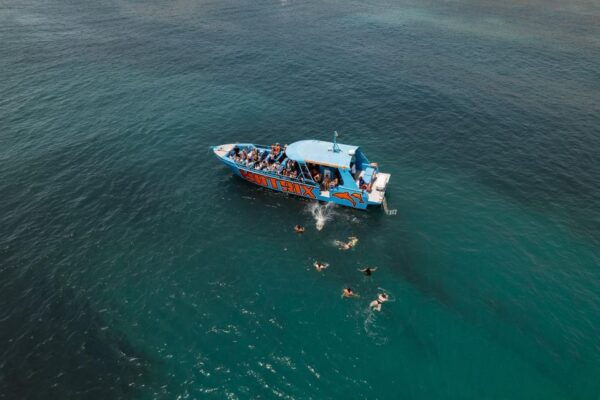 Albufeira: 2.5-Hour Dolphin Watching and Caves Trip - Directions