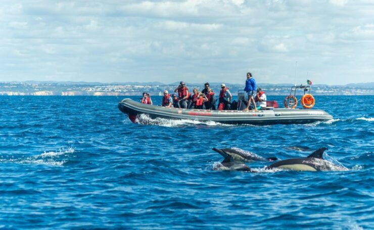 Albufeira: 2.5-Hour Private Dolphin & Benagil Caves Tour - Booking Information