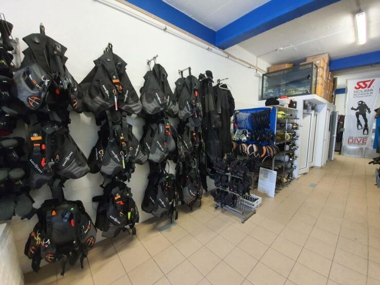 Albufeira: 2 DIVES TRIP (ONLY CERTIFIED DIVERS) - Inclusions and Requirements