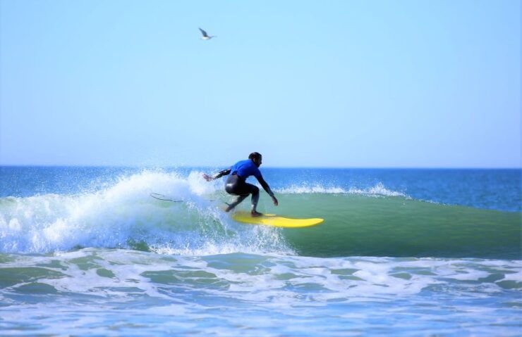 Albufeira: 2-Hour Surfing Lesson - Experience Highlights