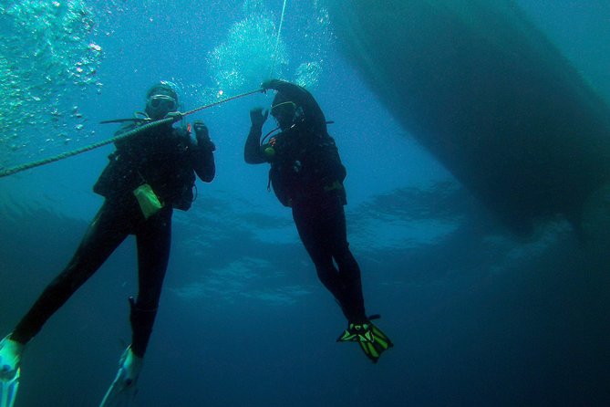 Albufeira 2 Reef Dives (QUALIFIED DIVERS) - Dive Experience