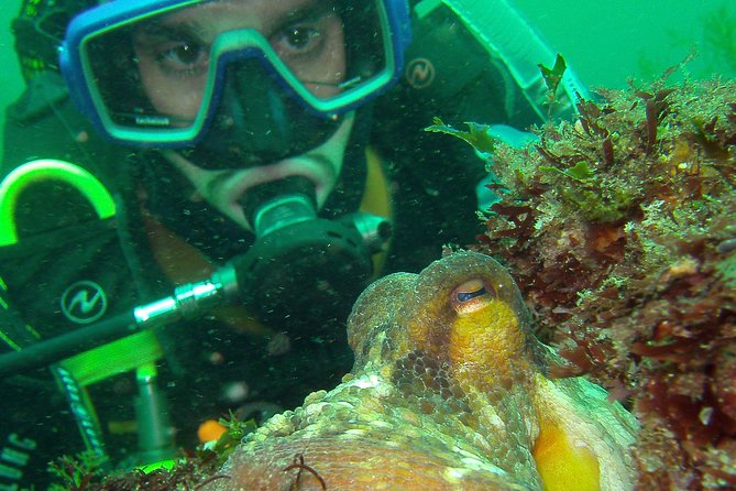 Albufeira 2 Reef Dives (QUALIFIED DIVERS) - Additional Information