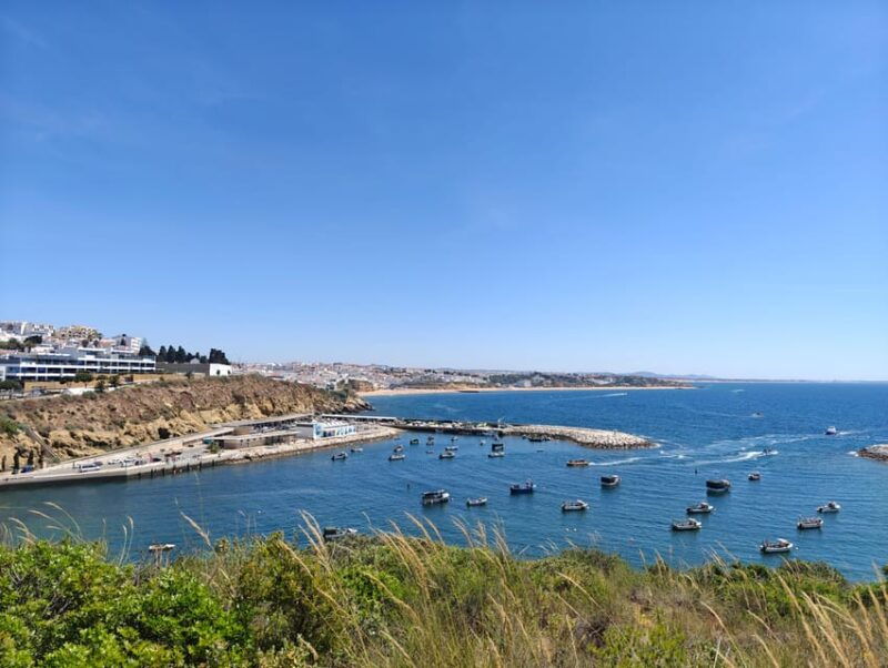 Albufeira: Albufeira Marina & west coast Tour 1.5h - What to Expect: Practical Details