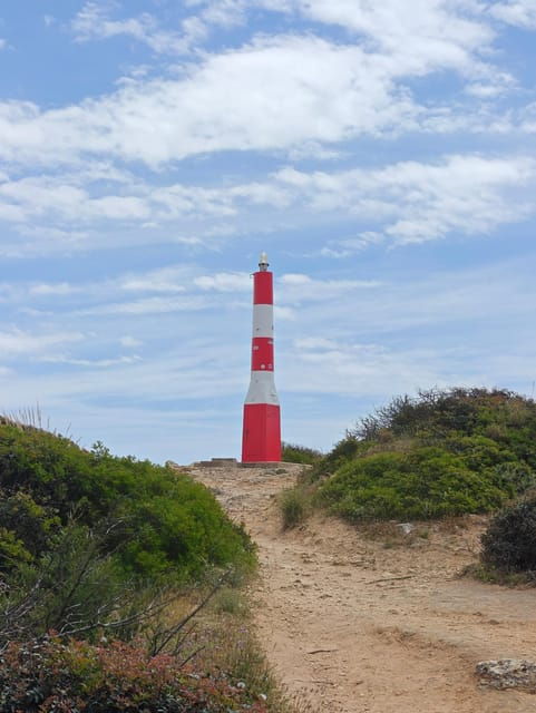 Albufeira: Albufeira Marina & west coast Tour 1.5h - Final Thoughts: Is This Tour for You?