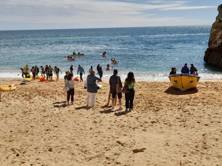 Albufeira: Algarve Cliffs and The Chapel of Bones Tour - Activity Details