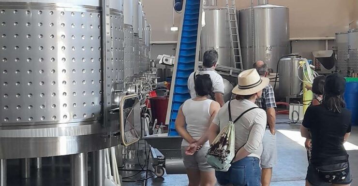 Albufeira: Algarve Coast Guided Tour With Wine Tasting - Booking Information