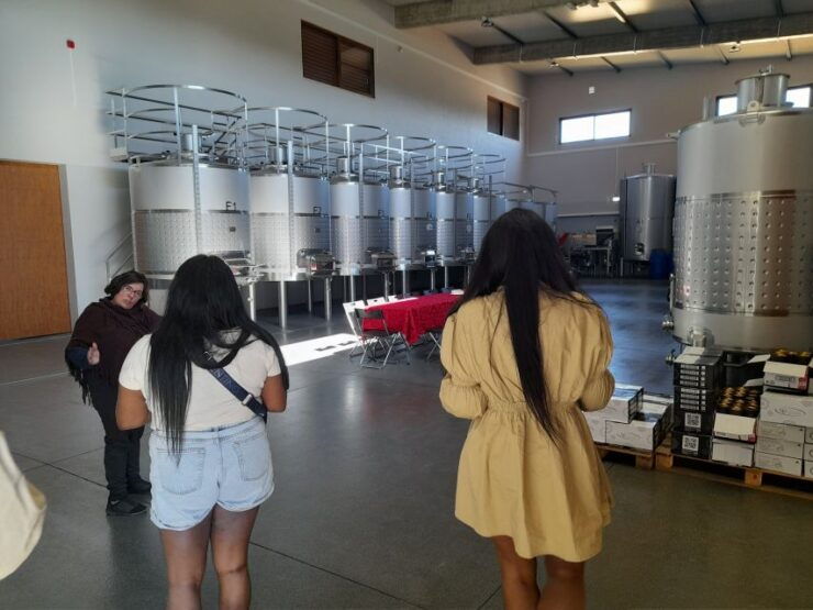 Albufeira: Algarve Coast Guided Tour With Wine Tasting - Pickup Services