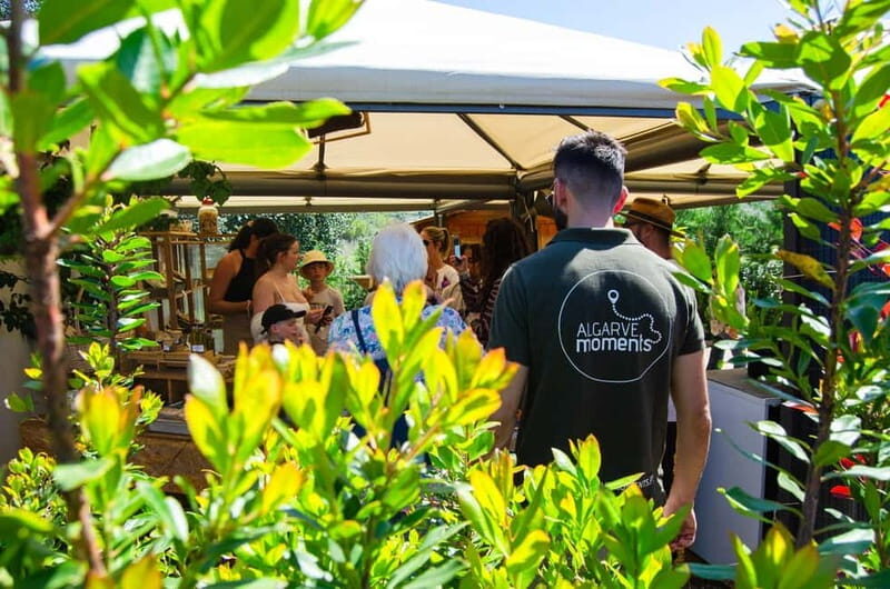 Albufeira: Algarve Traditions & Food Tasting - Who Should Consider This Tour?