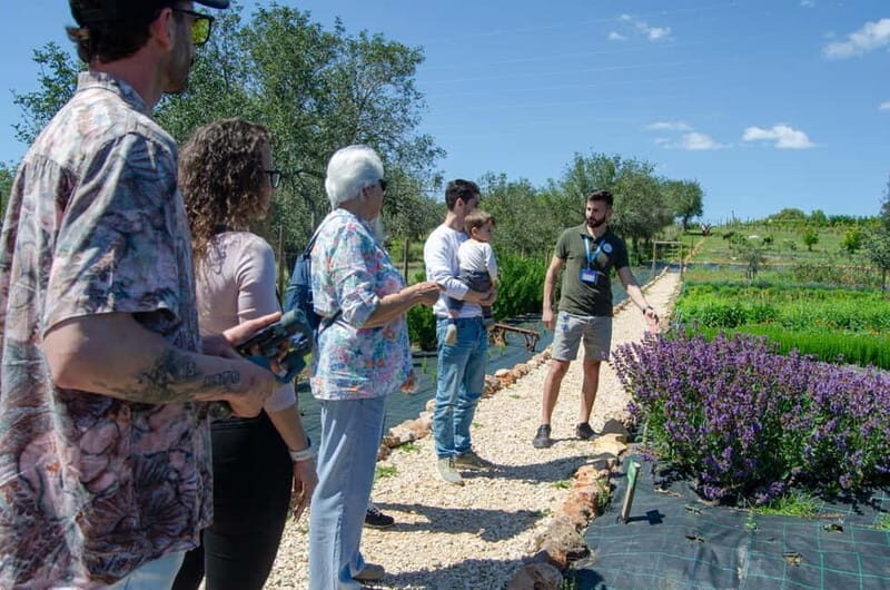 Albufeira: Algarve Traditions & Food Tasting - FAQ