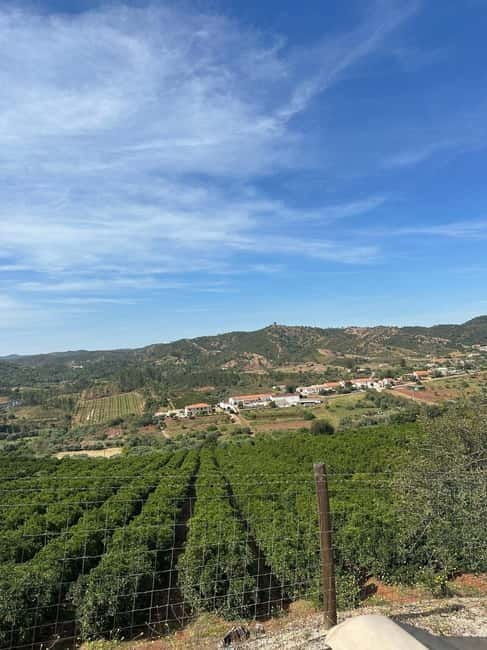 Albufeira: Alte, Paderne, and Messines Jeep Safari Tour - What’s Included and What to Expect