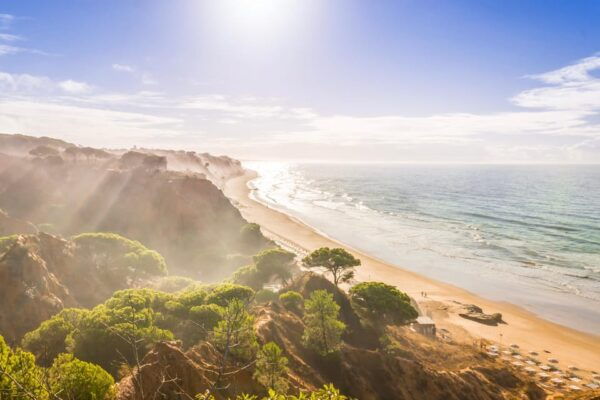 Albufeira: Beach, Old Town & Falesia Electric Tuk Tuk Tour - Local Guide