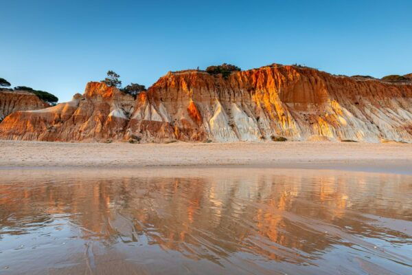 Albufeira: Beach, Old Town & Falesia Electric Tuk Tuk Tour - Important Information