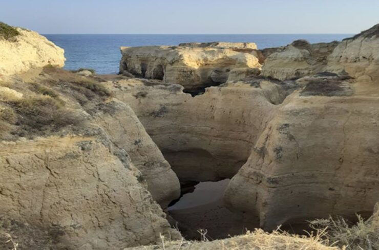 Albufeira: Beaches, Old Town, and Salgados Lagoon Jeep Tour - Salgados Lagoon Birdwatching