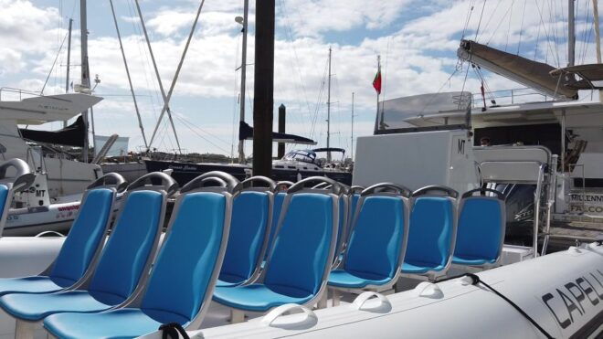 Albufeira: Benagil Cave and Dolphin Sightseeing Boat Cruise - Additional Information