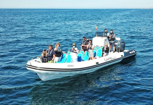 Albufeira: Benagil Cave and Dolphin Sightseeing Boat Cruise - Directions
