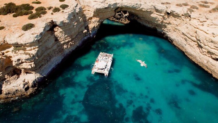 Albufeira: Caves and Coastline Catamaran Cruise to Benagil - Who Should Consider This Tour