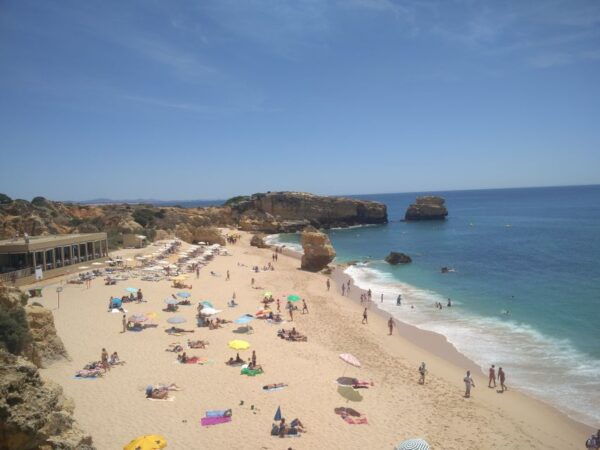 Albufeira: City Sightseeing & Beaches Tour - Transportation Options
