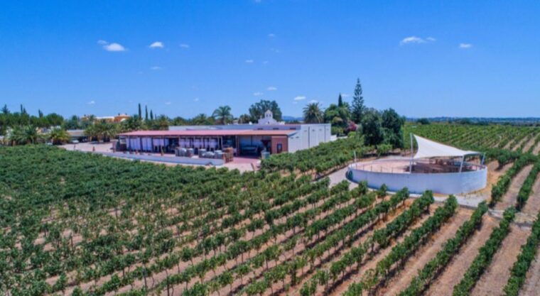 Albufeira Coast Tour, Winery & Chicken lunch - Final Thoughts: Who Should Book This Tour?