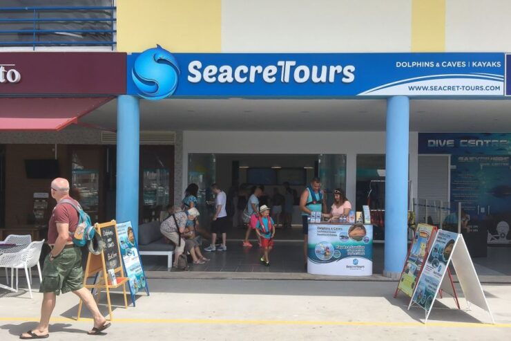 Albufeira: Dolphin Watching and Benagil Cave Boat Cruise - Dolphin Watching Experience