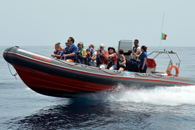Albufeira: Dolphin Watching and Benagil Cave Boat Cruise - Benagil Cave Exploration