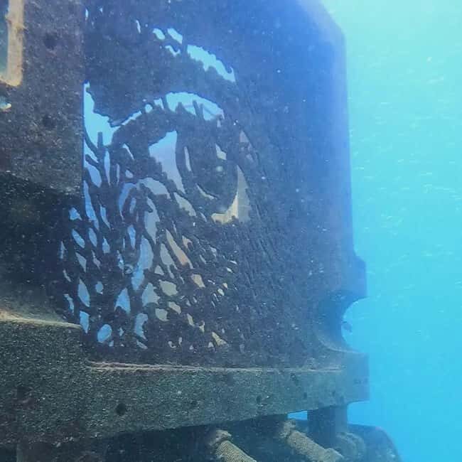 Albufeira: Double Ocean Dive for Certified Divers - What to Expect from Your Albufeira Double Dive