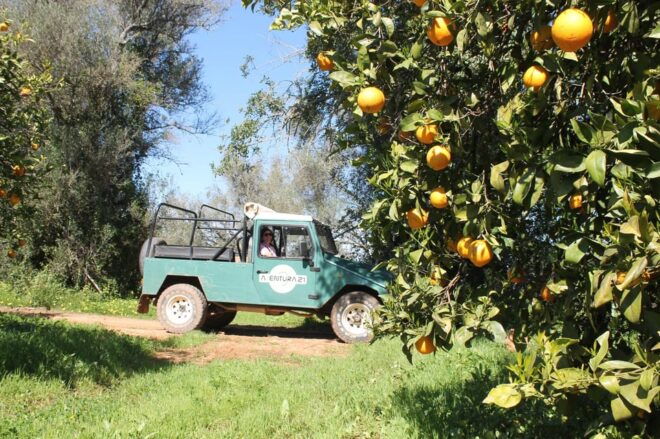 Albufeira: Half-Day Jeep Safari With Zoo - Customer Reviews