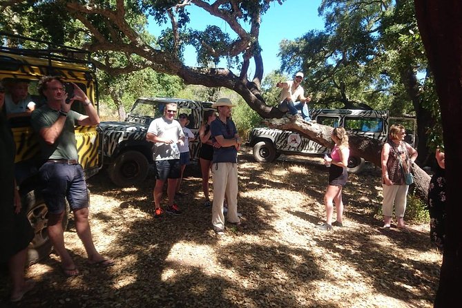 Albufeira Jeep Safari Full Day (PRIVATE TOUR) - Tour Overview and Activities