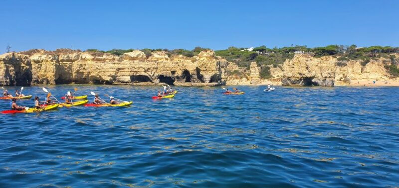 Albufeira Marina: Benagil Cave to Marinha Beach Kayak Tour - What Makes This Tour Special?