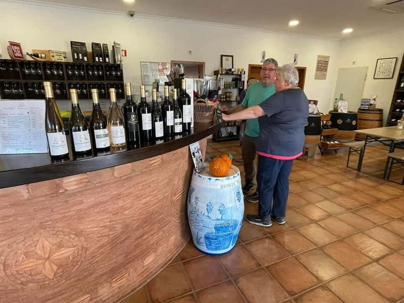 Albufeira, Olhão, Faro: visit to a vineyard, free time in Silves - Good To Know