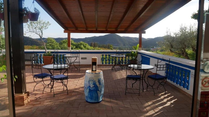 Albufeira, Olhão, Faro: visit to a vineyard, free time in Silves - A Closer Look at the Tour Experience